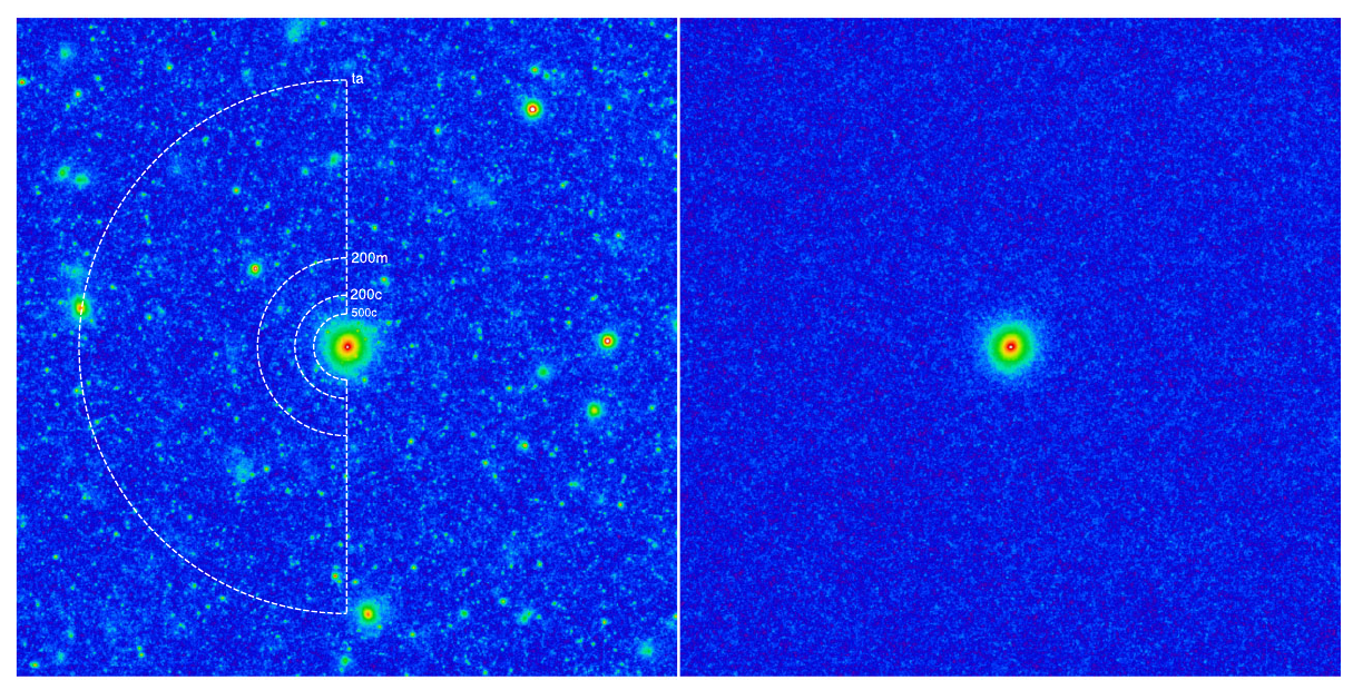 Рентгеновский портрет среднего скопления галактик анфас и в профиль по данным СРГ/eROSITA