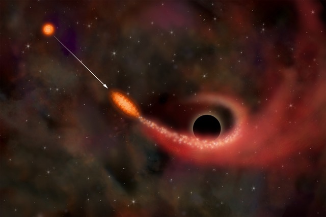 Событие приливного разрушения звезды в гравитационном поле сверхмассивной черной дыры в представлении художника. (c) NASA/CXC/M.Weiss